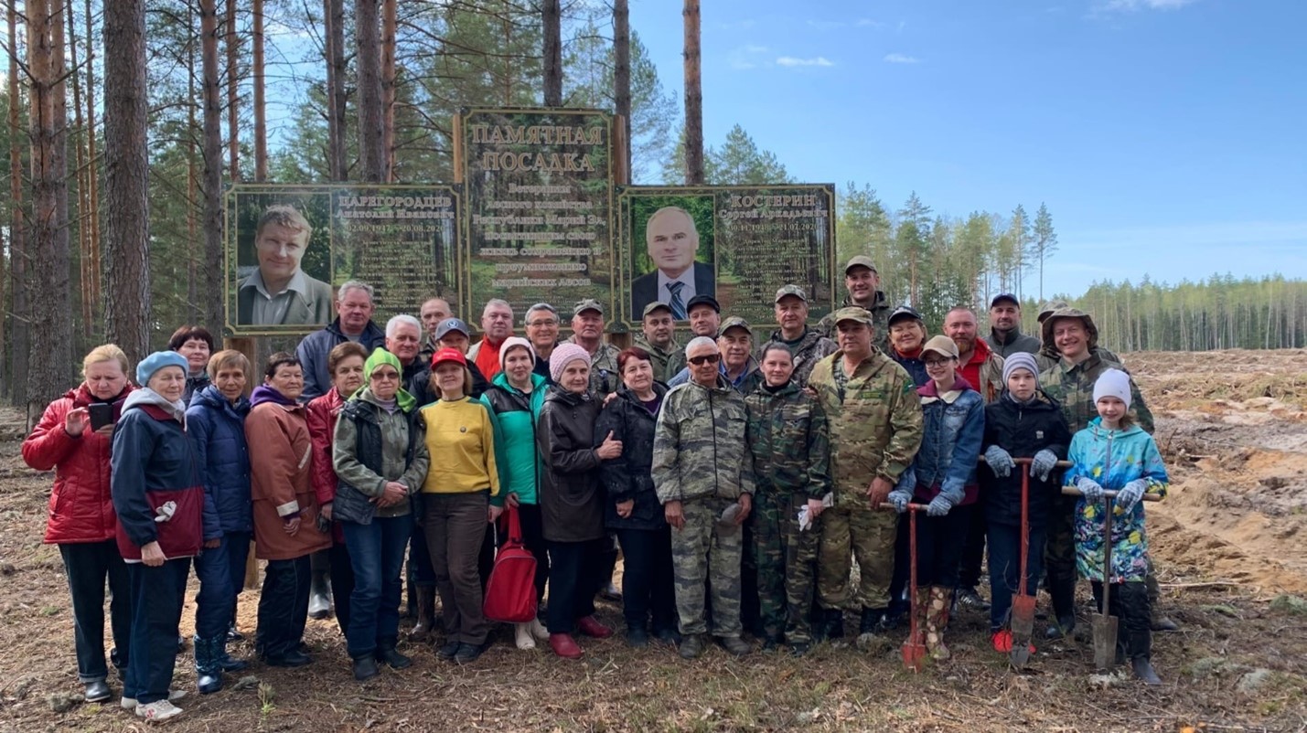 Памятная посадка в честь ветеранов