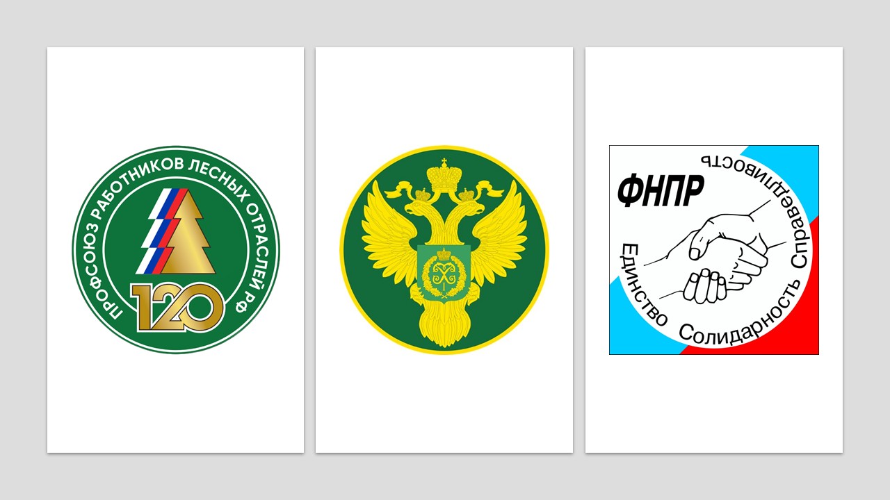 Социальное партнерство как ключевой фактор в укреплении профсоюзного движения лесных отраслей