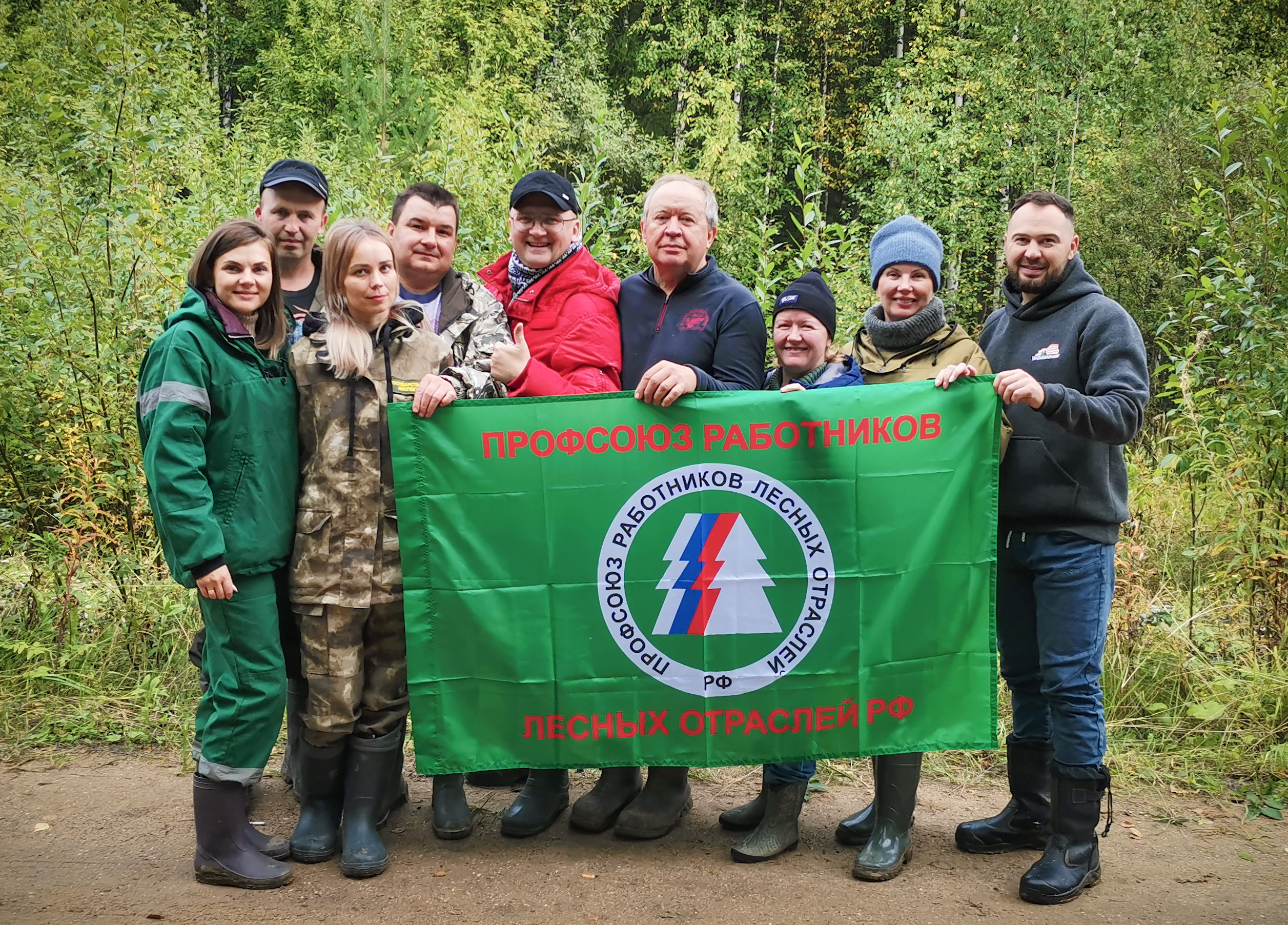 На месте бывшего мусорного полигона в Шиесе плохо восстанавливается лес